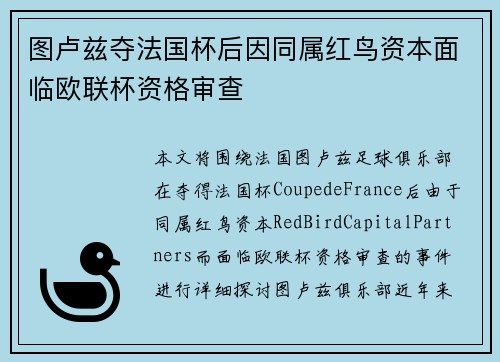 图卢兹夺法国杯后因同属红鸟资本面临欧联杯资格审查