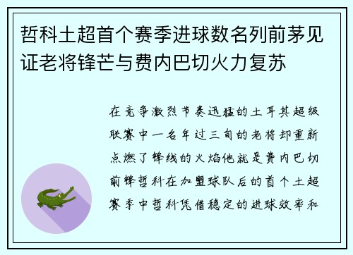 哲科土超首个赛季进球数名列前茅见证老将锋芒与费内巴切火力复苏