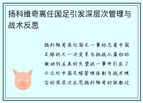 扬科维奇离任国足引发深层次管理与战术反思