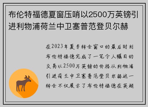布伦特福德夏窗压哨以2500万英镑引进利物浦荷兰中卫塞普范登贝尔赫 布伦特福德夏窗压哨以2500万英镑引进利物浦荷兰中卫塞普范登贝尔赫