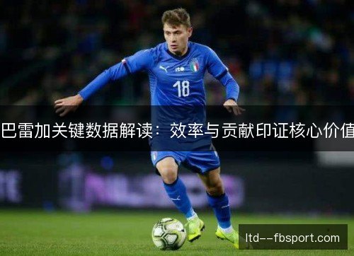 巴雷加关键数据解读:效率与贡献印证核心价值 巴雷加关键数据解读:效率与贡献印证核心价值